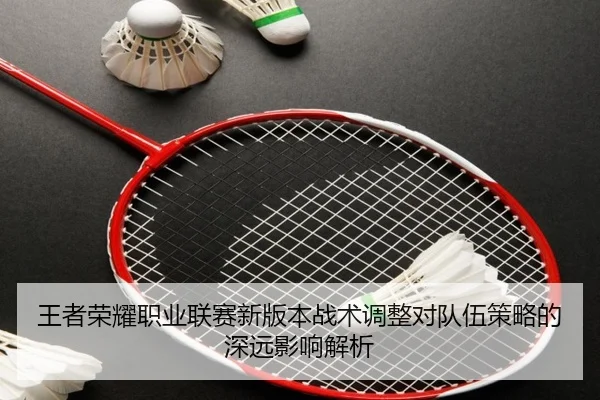 王者荣耀职业联赛新版本战术调整对队伍策略的深远影响解析